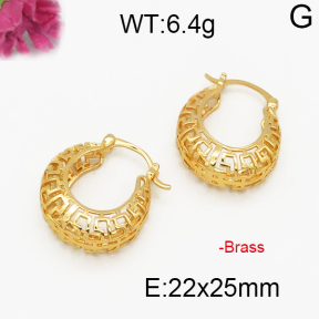Fashion Brass Earrings  F5E200026abol-J131