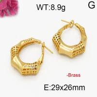 Fashion Brass Earrings  F5E200027abol-J131