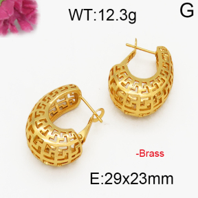 Fashion Brass Earrings  F5E200029vbpb-J131