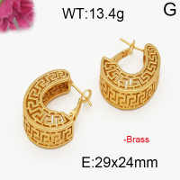 Fashion Brass Earrings  F5E200031vbpb-J131