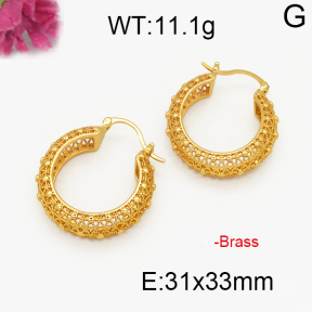 Fashion Brass Earrings  F5E200037abol-J131