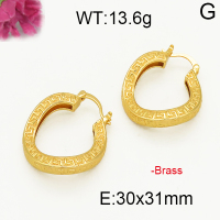 Fashion Brass Earrings  F5E200038abol-J131