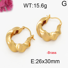 Fashion Brass Earrings  F5E200039abol-J131
