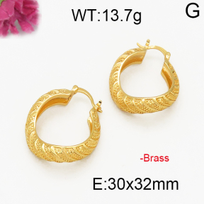 Fashion Brass Earrings  F5E200042vbpb-J131