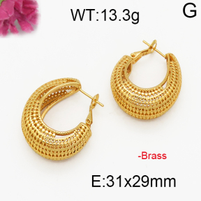 Fashion Brass Earrings  F5E200043vbpb-J131