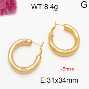Fashion Brass Earrings  F5E200045bbov-J131