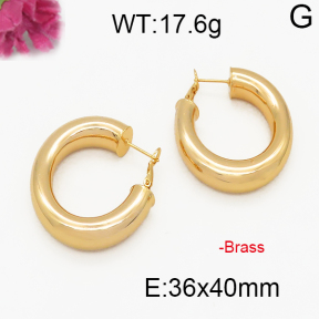 Fashion Brass Earrings  F5E200046abol-J131