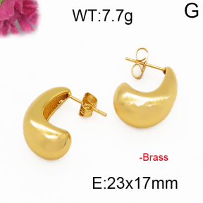 Fashion Brass Earrings  F5E200047vbnb-J131