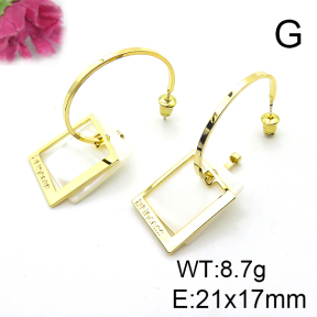Fashion Earrings  F6E301198vhml-K69
