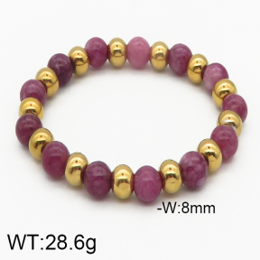 SS Bracelet  5B4000206vbmb-476