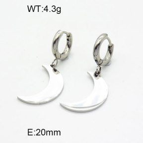 SS Earrings  3E2004888vbnb-908