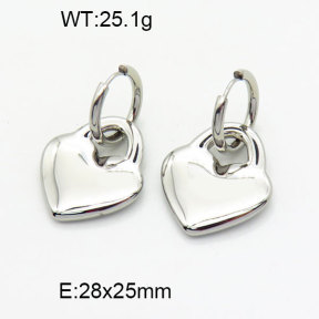 SS Earrings  3E2004894bhil-908