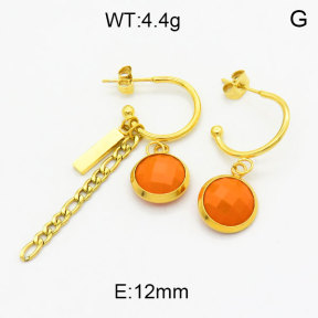 SS Earrings  3E4003305bhia-908
