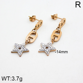 SS Earrings  2E4000005vhha-662