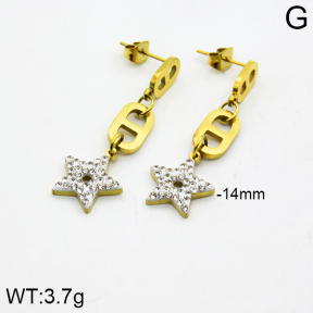 SS Earrings  2E4000006bhva-662