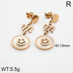 SS Earrings  2E4000010bhia-662