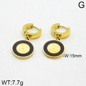 SS Earrings  2E4000013bhva-662