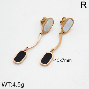 SS Earrings  2E4000024bhia-662