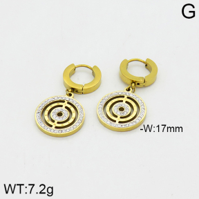 SS Earrings  2E4000025bhia-662