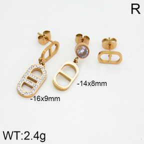 SS Earrings  2E4000038bhia-662