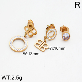 SS Earrings  2E4000050bhia-662