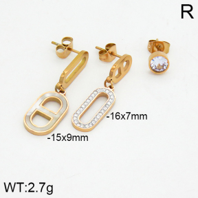 SS Earrings  2E4000053bhia-662