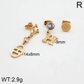 SS Earrings  2E4000062bhia-662