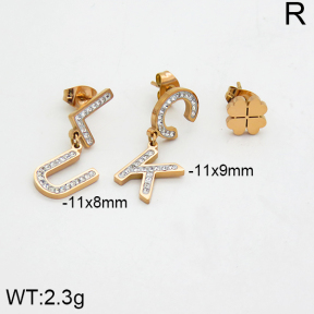 SS Earrings  2E4000065bhia-662