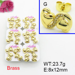 Fashion Brass Earrings  F3E402501ajma-J22