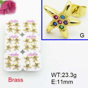 Fashion Brass Earrings  F3E402508ajma-J22