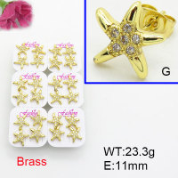 Fashion Brass Earrings  F3E402509ajma-J22