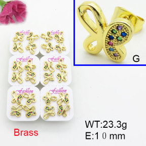 Fashion Brass Earrings  F3E402510ajma-J22