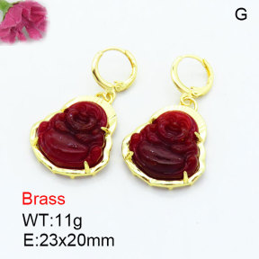 Fashion Brass Earrings  F3E402598bhia-G030