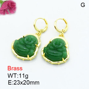 Fashion Brass Earrings  F3E402600bhia-G030
