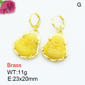 Fashion Brass Earrings  F3E402602bhia-G030