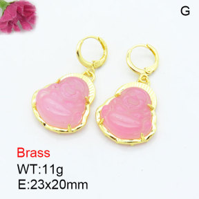 Fashion Brass Earrings  F3E402603bhia-G030