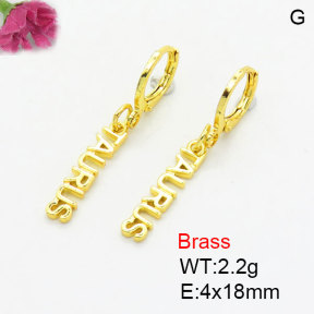 Fashion Brass Earrings  F3E200379aaik-G030