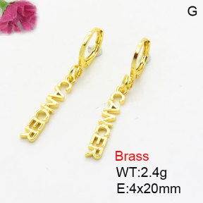 Fashion Brass Earrings  F3E200381aaik-G030