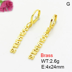 Fashion Brass Earrings  F3E200384aaik-G030