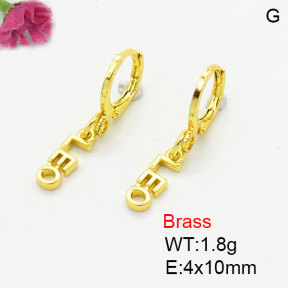Fashion Brass Earrings  F3E200386aaik-G030