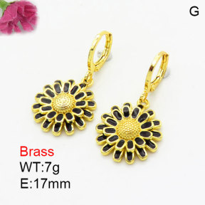 Fashion Brass Earrings  F3E300981vbmb-G030