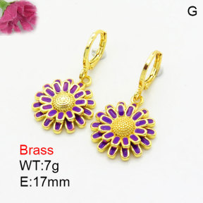 Fashion Brass Earrings  F3E300982vbmb-G030