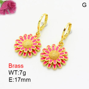 Fashion Brass Earrings  F3E300984vbmb-G030