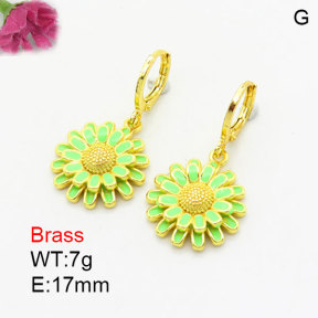 Fashion Brass Earrings  F3E300987vbmb-G030