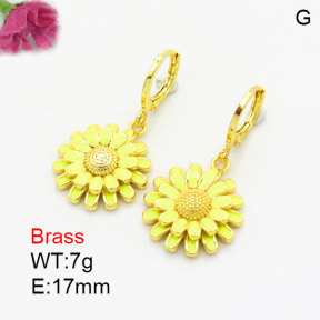 Fashion Brass Earrings  F3E300988vbmb-G030