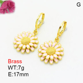 Fashion Brass Earrings  F3E300989vbmb-G030