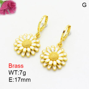 Fashion Brass Earrings  F3E300990vbmb-G030