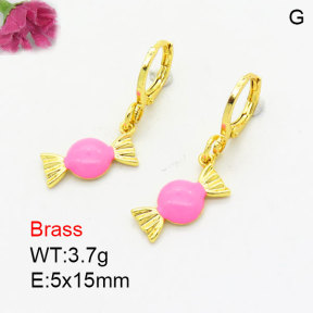 Fashion Brass Earrings  F3E300999aajk-G030