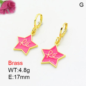 Fashion Brass Earrings  F3E301004aajk-G030