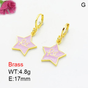 Fashion Brass Earrings  F3E301006aajk-G030